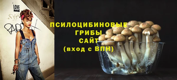 сатива Богородицк