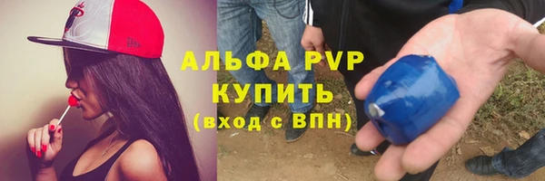сатива Богородицк
