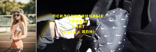 ешки Белокуриха