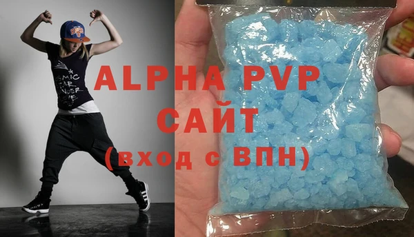 ГАЛЛЮЦИНОГЕННЫЕ ГРИБЫ Богданович