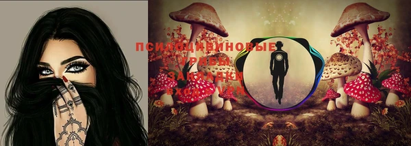 тгк Белоозёрский
