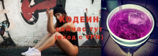 ГАЛЛЮЦИНОГЕННЫЕ ГРИБЫ Богданович