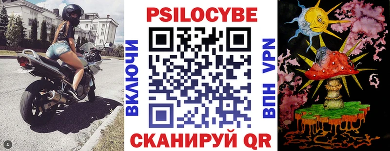 blacksprut tor  закладка  Видное  Псилоцибиновые грибы прущие грибы 