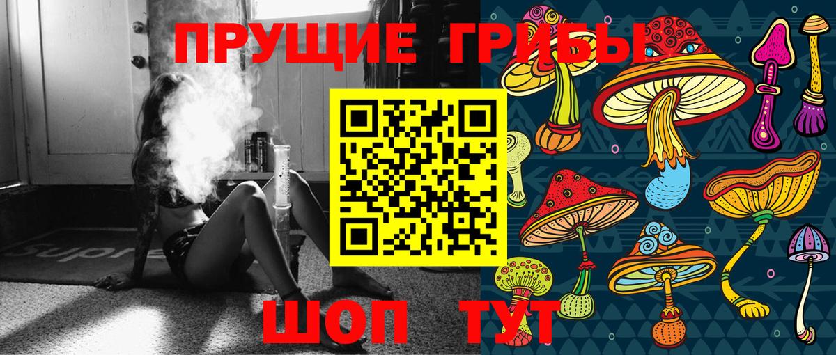 Видное  Псилоцибиновые грибы Psilocybe  Вход с VPN 